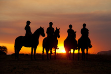 South Africa-Waterberg-Triple B Ranch